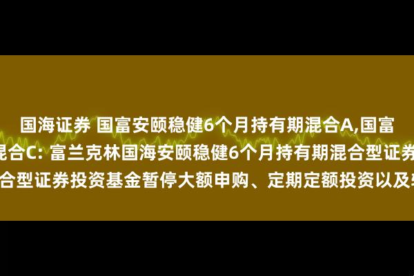 国海证券 国富安颐稳健6个月持有期混合A,国富安颐稳健6个月持有期混合C: 富兰克林国海安颐稳健6个月持有期混合型证券投资基金暂停大额申购、定期定额投资以及转换转入业务的公告